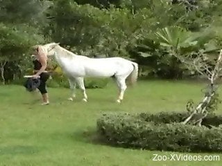 Good-looking brown horse and ionate blonde have nice sex