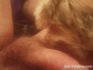 Dashing scenes when a dog licks the man's cock and balls