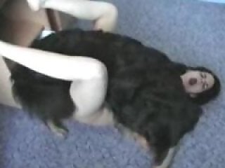 Zoo porno and bestiality